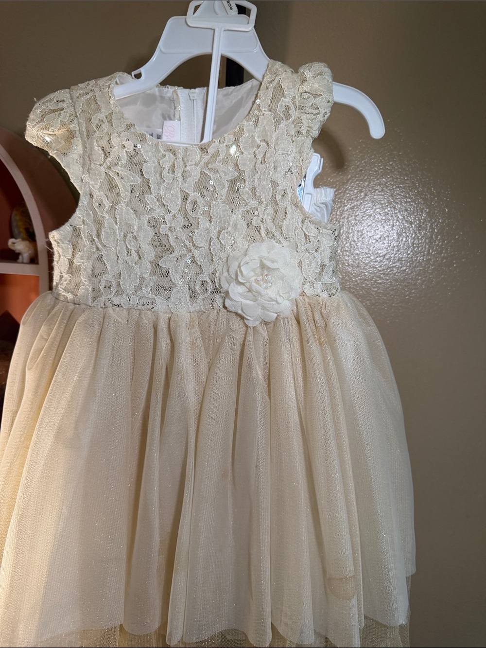 Toddler Cream Lace & Tulle Flower-Appliqué Party Dress